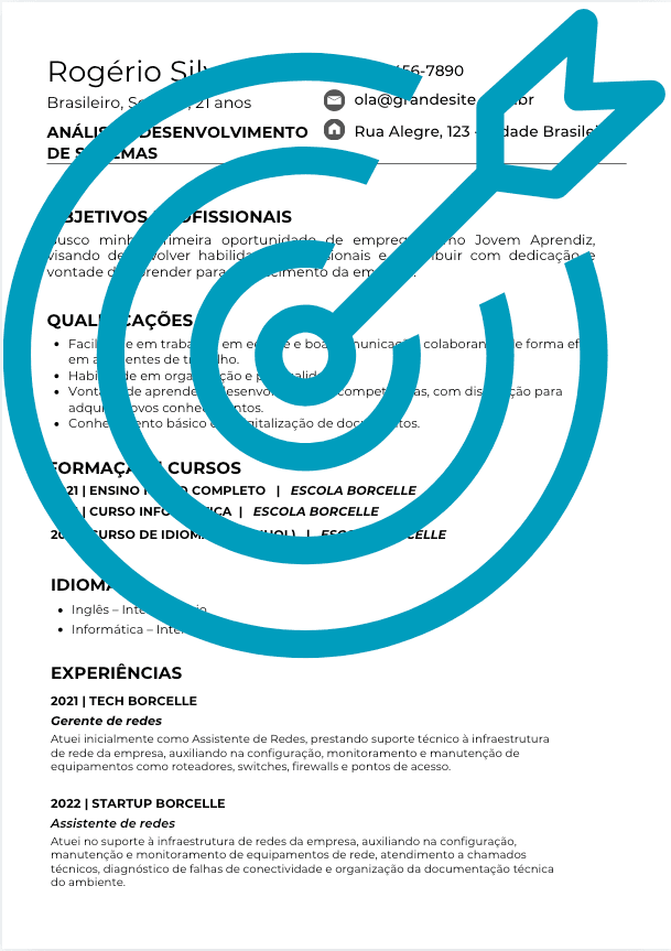 Exemplo de currículo analisado pelo CVnoAlvo